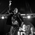 flamenco (72)